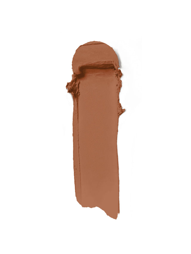 Skin Rewind Complexion Stick - Palm 33N